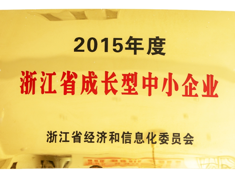 2015年度浙江省成長(zhǎng)型中小企業(yè)